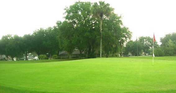 memberships